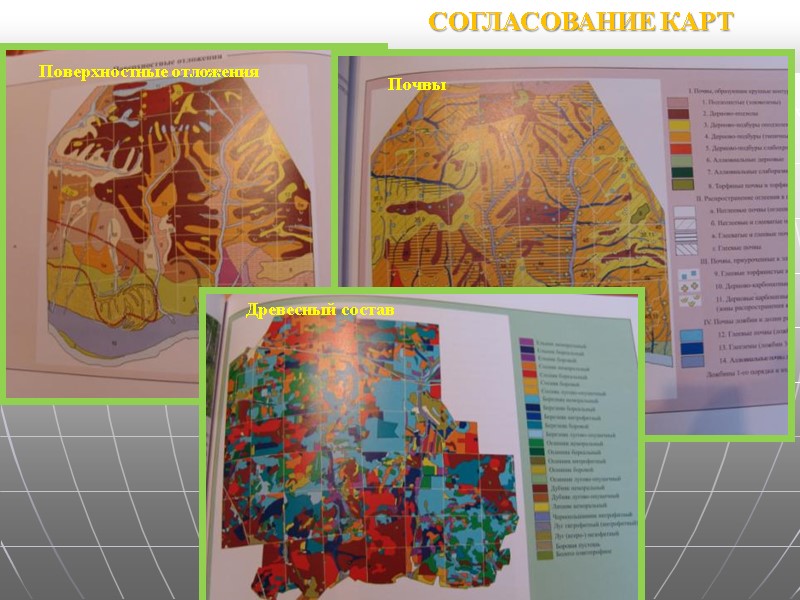 СОГЛАСОВАНИЕ КАРТ Поверхностные отложения Почвы Древесный состав СОГЛАСОВАНИЕ КАРТ Поверхностные отложения Почвы Древесный состав